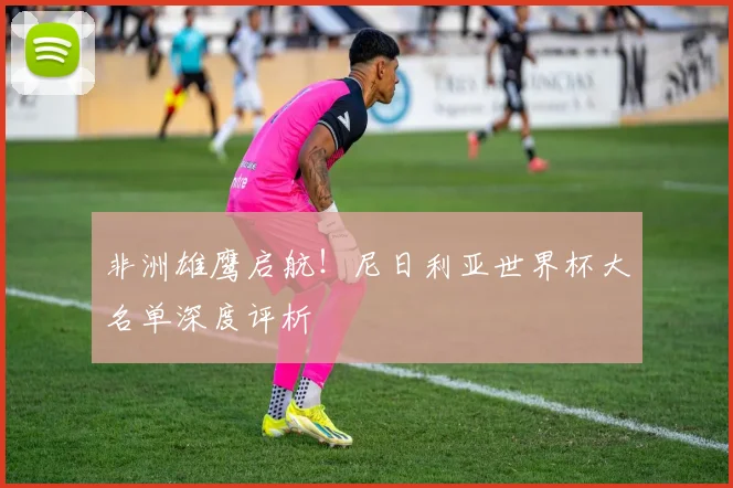 非洲雄鹰启航！尼日利亚世界杯大名单深度评析