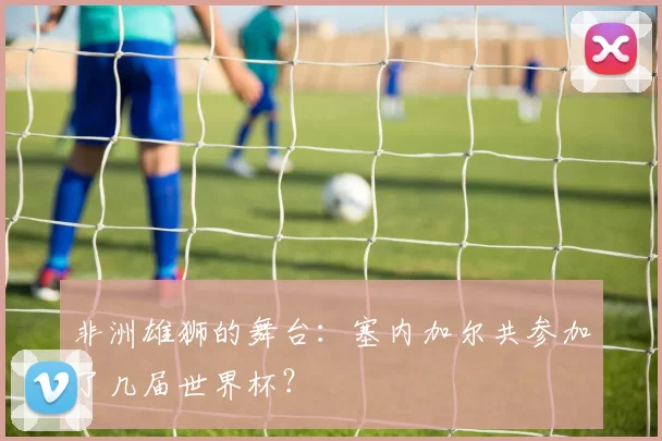 非洲雄狮的舞台：塞内加尔共参加了几届世界杯？