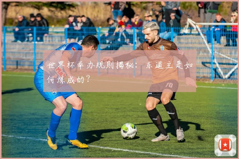 世界杯举办规则揭秘:东道主是如何炼成的?