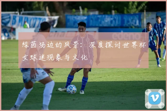 绿茵场边的风景：深度探讨世界杯女球迷现象与文化