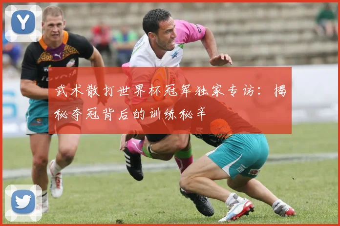 武术散打世界杯冠军独家专访：揭秘夺冠背后的训练秘辛